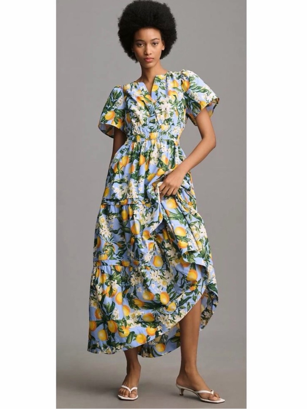 Anthropologie Somerset Maxi Dress Medium